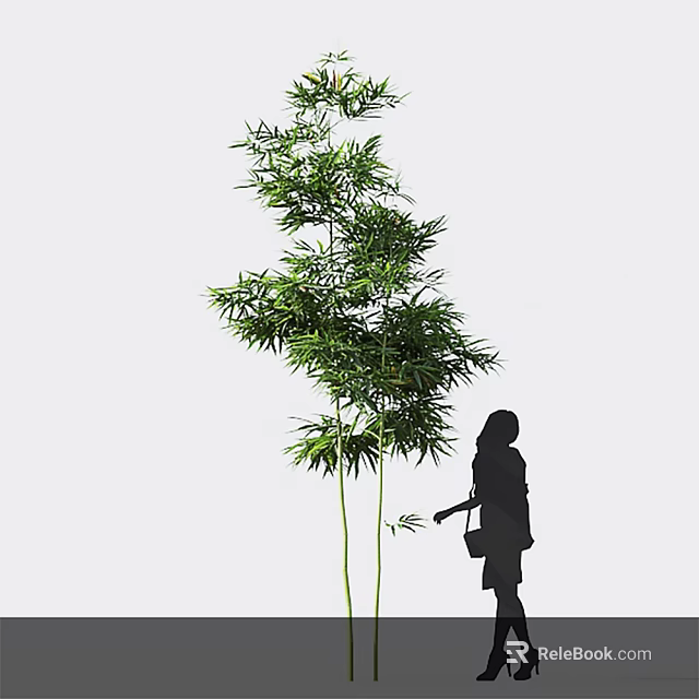 Tall Green Bamboo Plant With Silhouette Of A Person 3d model 