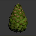 Green Pine Cone Plant Organ with Red Spots and Hair Like Scales on Gray Background