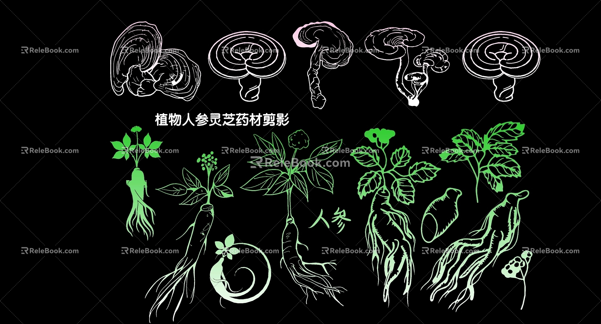 plant ginseng ganoderma lucidum herbs silhouette model