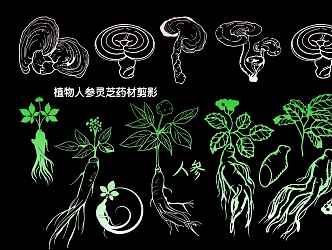 plant ginseng ganoderma lucidum herbs silhouette 3d model