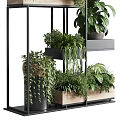 Lush Various Potted Plants Arrangement On Multi tiered Metal And Wooden Shelves Indoor