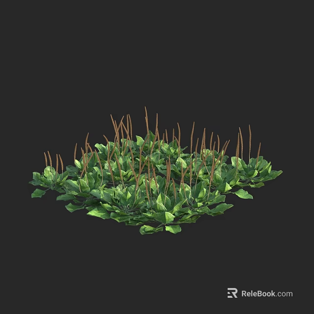 Lush Green Flowering Plants With Brown Stems In Circular Growth Pattern 3d model