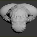 Head Character Portrait Head Various Heads Various Heads Head Carving Head Carving Portrait Face Carving 3d model