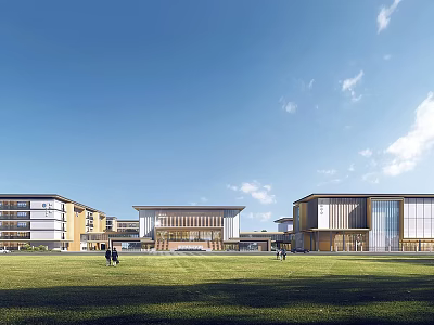 Modern School Buildings On Green Campus With Blue Sky And Lawn Area 3d model