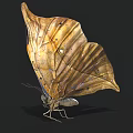 Brown And Yellow Butterfly With Leaf Like Wing Texture And Spread Wings On Black Background