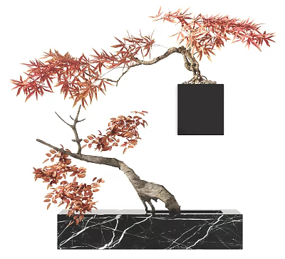 Bonsai Plant With Red Maple Leaves Curved Trunk Black Square Pot And Marble Base 3d model