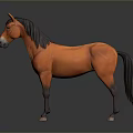 Orange Horse With Black Mane And Tail Standing On Dark Background