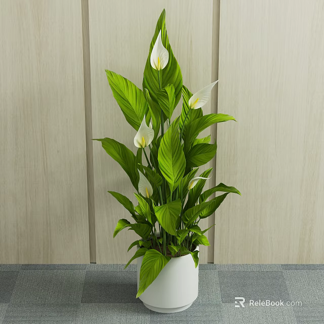 Potted Plant with Green Leaves and White Flowers in White Pot on Gray Surface Against Wooden Background 3d model 