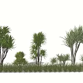 multicolored thousand-year-old wood colorful iron lily bamboo modeling shrub green plant 3d model
