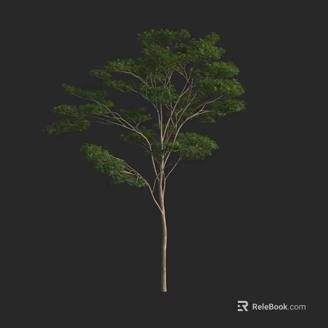 Isolated Arbor With Lush Green Leaves And Slender Trunk On Black Background 3d model 