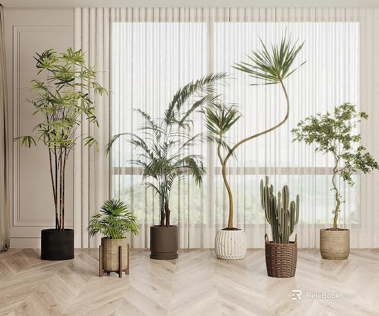 Various Types of Indoor Potted Plants in Decorative Planters on Wooden Floor with Window Background 3d model 