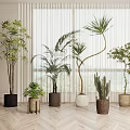 Various Types of Indoor Potted Plants in Decorative Planters on Wooden Floor with Window Background