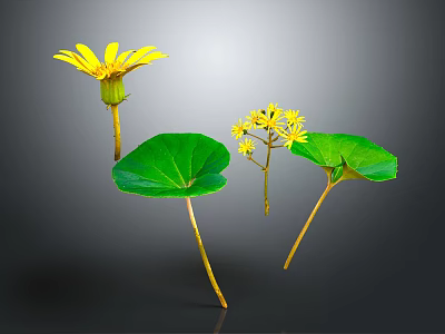 Yellow Flowers With Green Leaves And Yellow Stems On Grey Background 3d model