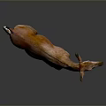 Realistic Okapi Animal Model With Brown Body And White Striped Legs