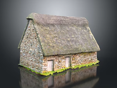 Cartoon Scene Of Traditional Stone Cottage With Thatched Roof Green Grass And Reflection 3d model