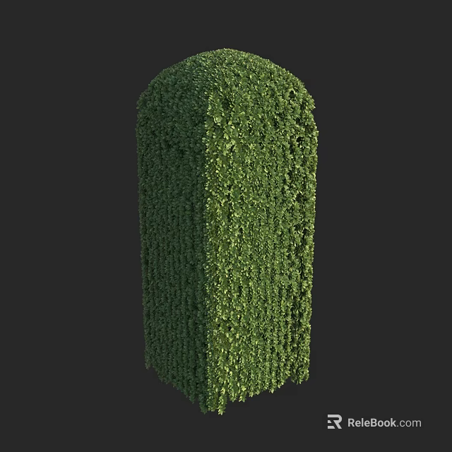 Trimmed Green Shrub with Neat Geometric Shape and Lush Foliage in Landscaping 3d model 
