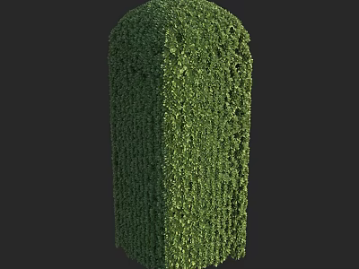 Trimmed Green Shrub with Neat Geometric Shape and Lush Foliage in Landscaping 3d model
