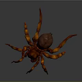 Orange Spider with Large Body and Jointed Legs on Gray Background