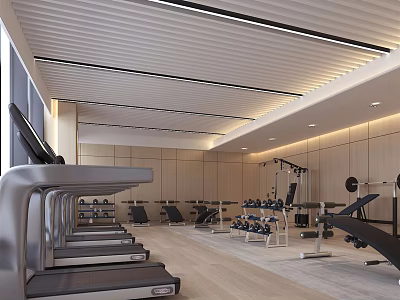 Modern Fitness Gym Interior With Treadmills Dumbbells And Workout Equipment 3d model