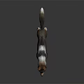 Realistic Wolf 3D Model Showcasing Detailed Fur and White Paws in Standing Pose