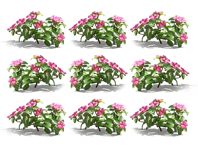 Vibrant Pink Flowers And Green Leaves In Garden Plant Arrangement 3d model