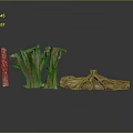 Natural Wooden Stone Decorative Pieces With Tree Root Shapes And Textures