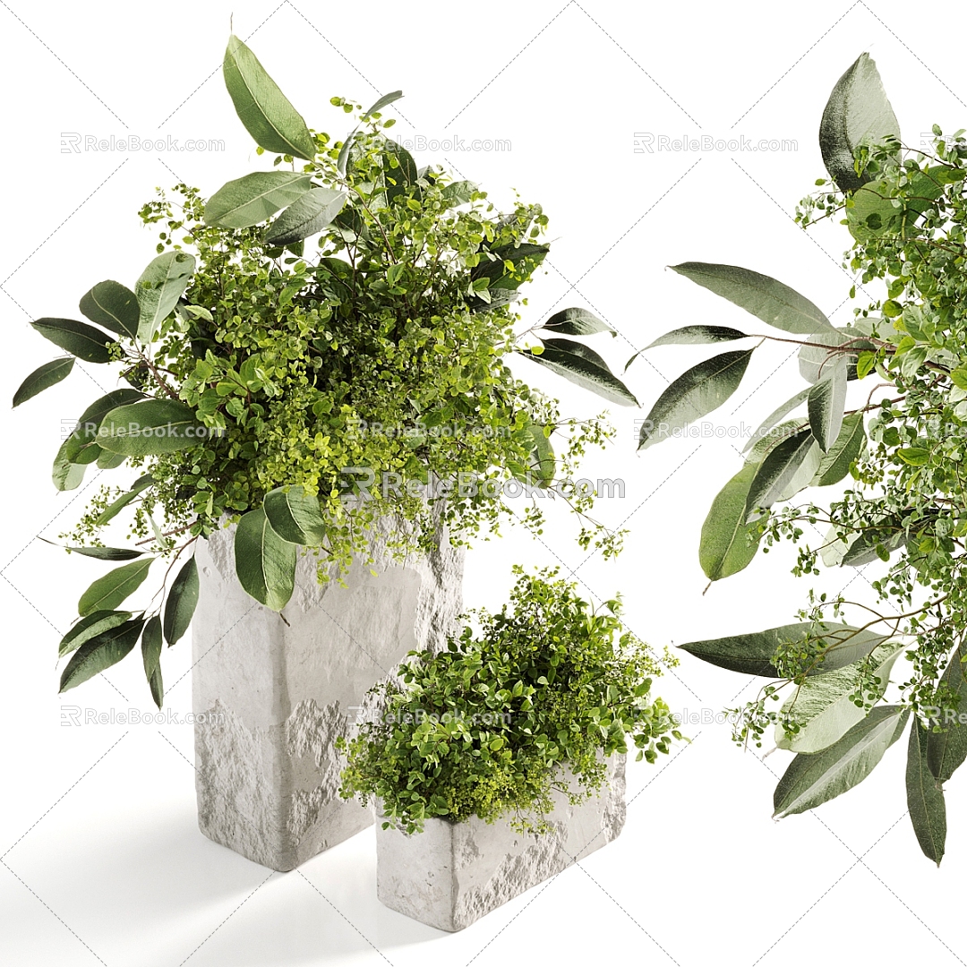 floral ornaments vase green plant 3d model