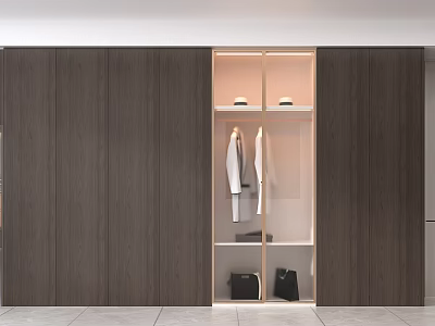 Modern Dark Wood Wardrobe Interior With Open Compartment Hanging Garments And Storage Bags 3d model