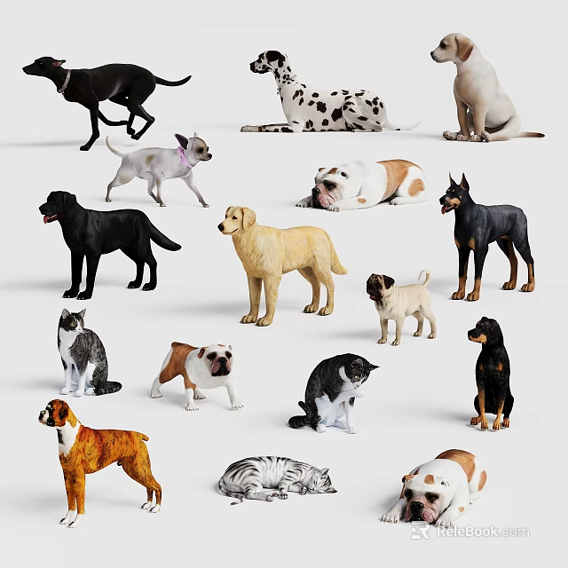 Various Dog and Cat Breeds in Different Postures and Coat Colors 3d model 