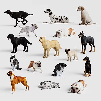 Various Dog and Cat Breeds in Different Postures and Coat Colors 3d model