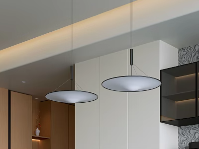 Circular Pendant Lights Hanging In Modern Interior With Wooden Cabinets And Open Shelves 3d model