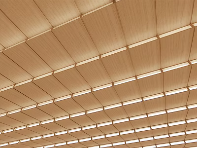 Modern Wooden Slatted Ceiling Design With Integrated Lighting And Structural Details 3d model