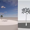 Tall Palm Trees Standing On White Sandy Ground Under Blue Sky With White Clouds