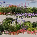 Colorful Garden Plant Combinations With Purple Red Pink Flowers And Green Shrubs