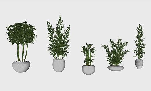 Modern bamboo rich bamboo rockery plant potted sketch combination 3d model