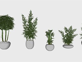 Modern bamboo rich bamboo rockery plant potted sketch combination 3d model