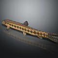 Spotted Yellow And Black Fish With Slender Body And Reflection On Dark Background 3d model