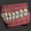 Game Movie Character Teeth Model Featuring Realistic White Teeth And Pink Gums