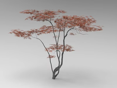 Elegant Arbor With Red Leaves And Curved Trunks In Garden Landscape 3d model