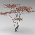 Elegant Arbor With Red Leaves And Curved Trunks In Garden Landscape