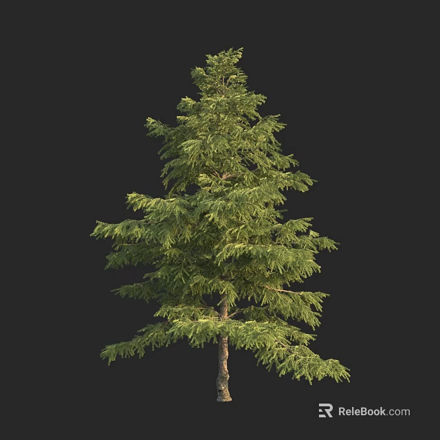 Tall Arbor Tree With Green Lush Foliage And Brown Trunk In Isolated View 3d model 
