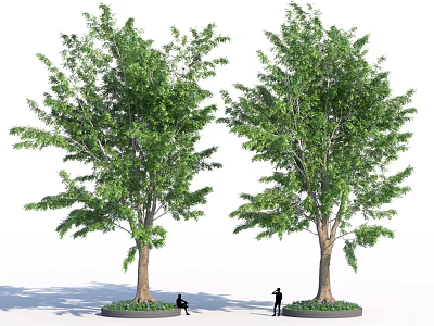 Two Arbor Trees With Circular Flower Beds At Base And People One Sitting One Standing 3d model