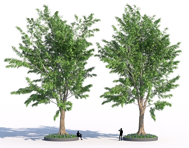 Green planting walnut tree garden ancient tree cartoon elements 3d model