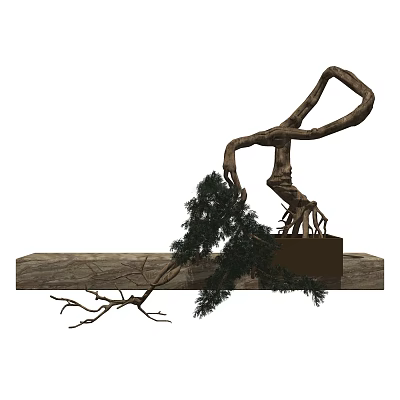 New Chinese Bonsai 3d model