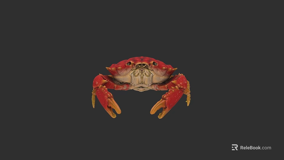 Vibrant Red Crab With Yellow Claws And Detailed Eyes On Dark Background 3d model 
