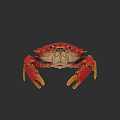 Vibrant Red Crab With Yellow Claws And Detailed Eyes On Dark Background