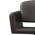 Brown Leather Leisure Chair With Armrests Swivel Base And Black Pedestal