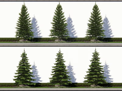 Multiple Arbor Trees in Row Against White Wall with Shadows Low Shrubs and Stones 3d model