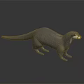 Gray Otter 3D Character Model with White Face Standing on Black Smooth Surface and Reflection 3d model