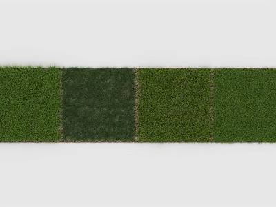 modern lawn turf 3d model